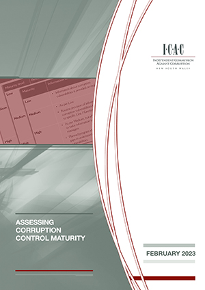 full cover of the Assessing Corruption Control Maturity report