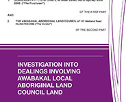 cover of the Operation Skyline investigation report